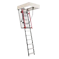 Dom