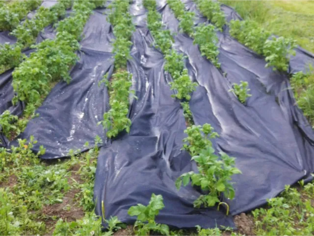 Záhradná textília Agrotex